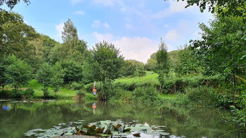 Fishing Lake at Bluebell Coppice Camping and Glamping Site near Battle and Hastings East Sussex