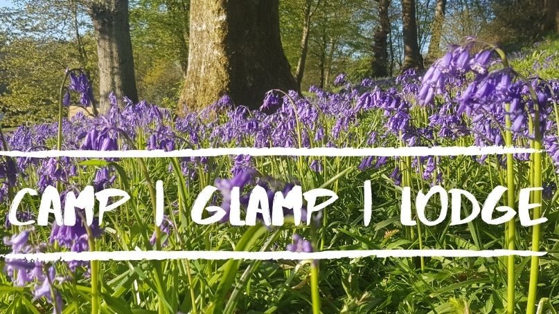 Bluebell Coppice Park — photo 3